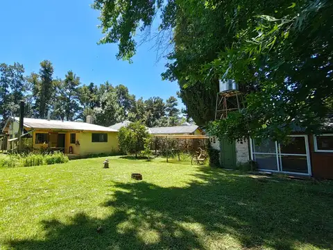 Juana De Azurduy 1300