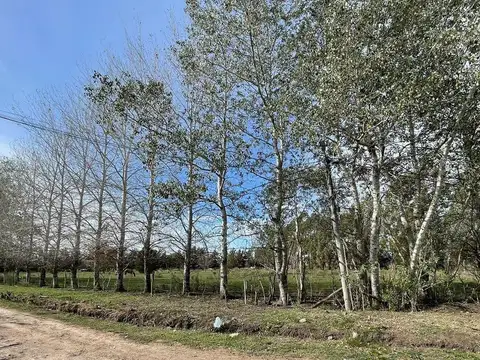 470 ESQUINA 158