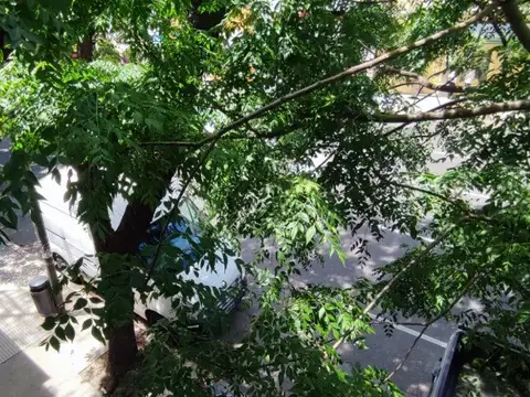 # T/CASA 3 AMB AL FRENTE 1ERO POR ESCALERA, BAJAS EXPENSAS $ 60.000-.  MUY LUMINOSO, EXCELENTE ESTADO, BAÑO Y COCINA " A NUEVOS".