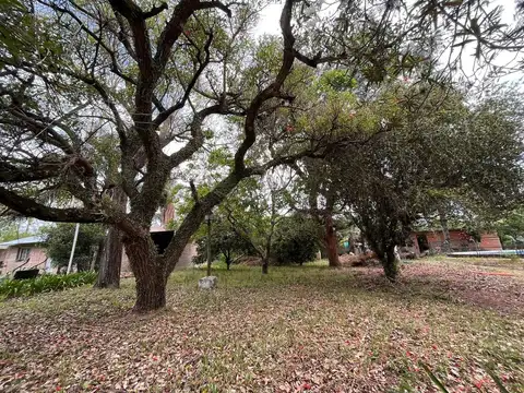 Terreno en Venta de 655,0 m2