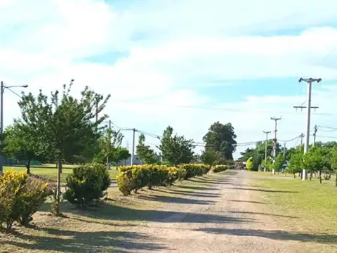 Terreno en Venta 34  mts Fondo