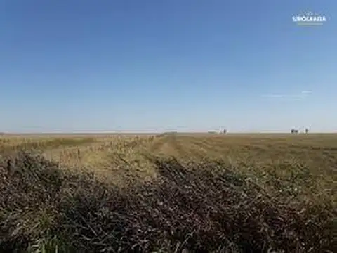 122 ha Ganaderas - Herrera - Sgo del estero