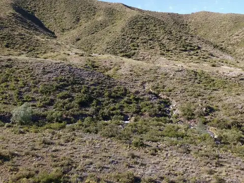 Terreno en Venta en Potrerillos, USD 20.000