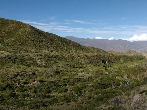 Ruta Panamericana