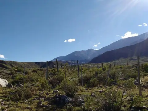Terreno en Venta en Potrerillos, USD 20.000