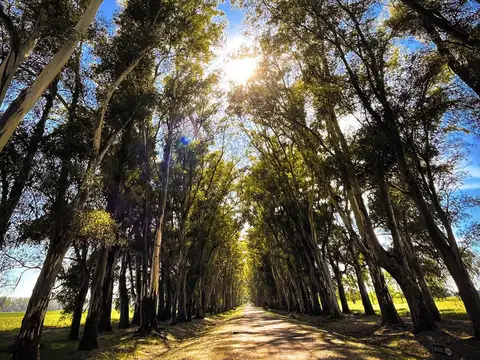Bernardino Rivadavia km14.5