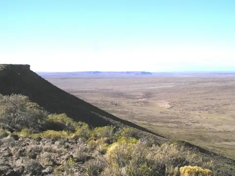 Estancia 7800 ha - Zapala - Neuquen