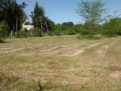 Terreno en Alquiler en Villa Elisa, $ 400.000