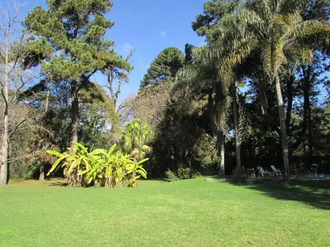 Los Eucaliptos y los Paraísos