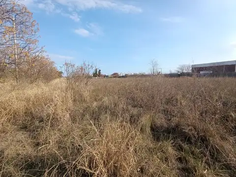 Terreno en Venta de 9842,0 m2