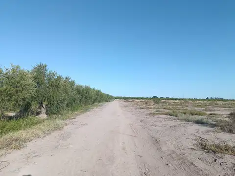 Terreno en Venta en Coquimbito, USD 2.000.000