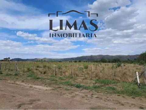 Villa Ciudad Parque. 100