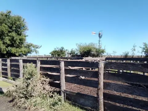 VENTA - CAMPO GANADERO 1.450 HECTÁREAS