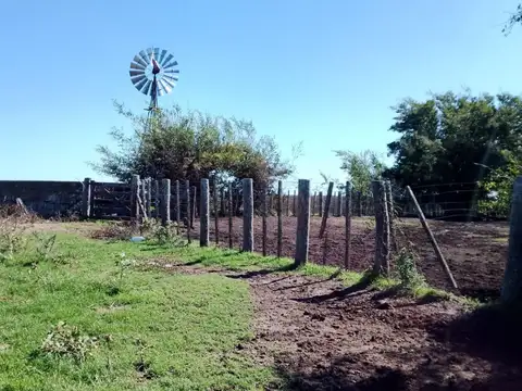VENTA - CAMPO GANADERO 1.450 HECTÁREAS