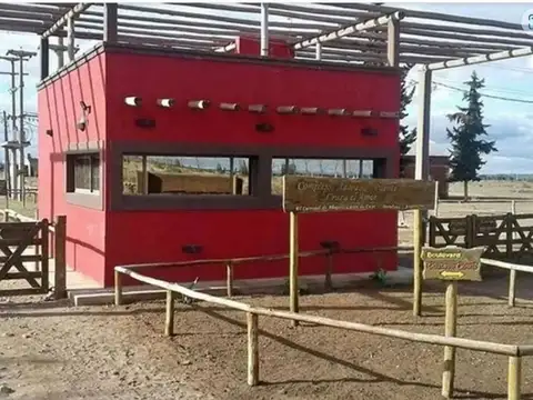 Terreno en Venta en El Carrizal De Abajo, USD 4.800