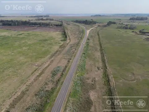 Campo de 104 has en Venta - Chascomús - Apto para Desarrollo - Club de Campo.
