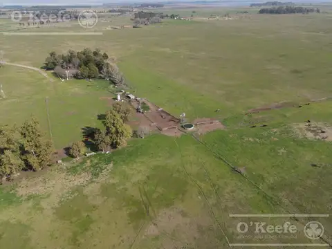 Campo de 104 has en Venta - Chascomús - Apto para Desarrollo - Club de Campo.