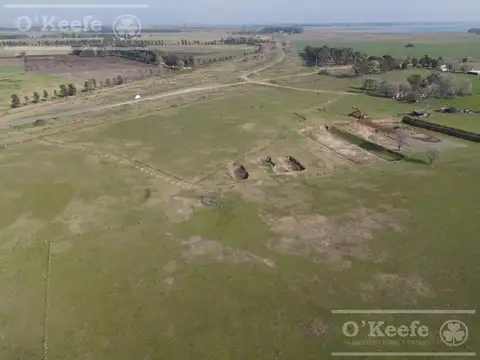 Campo de 104 has en Venta - Chascomús - Apto para Desarrollo - Club de Campo.