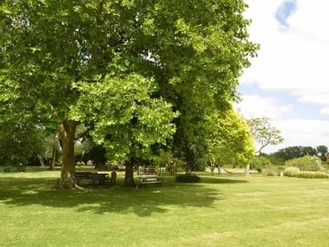 Terreno en Venta de 620,0 m2
