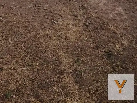 Terreno en Venta de 14650,0 m2