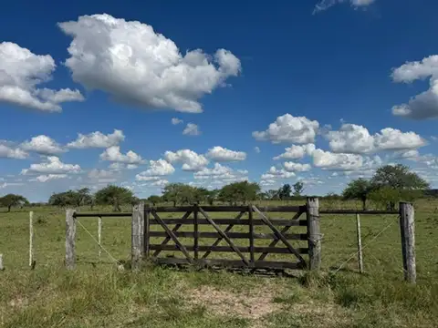 Campo 36.5 hectareas en  Curuzu Cuatia Corrientes
