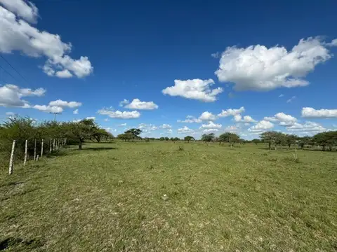 Campo en Venta Ganadero
