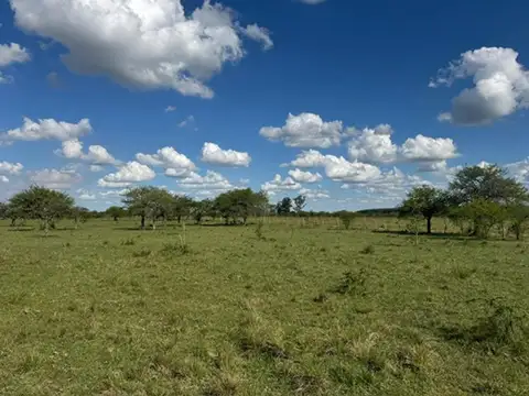 Campo en Venta Ganadero