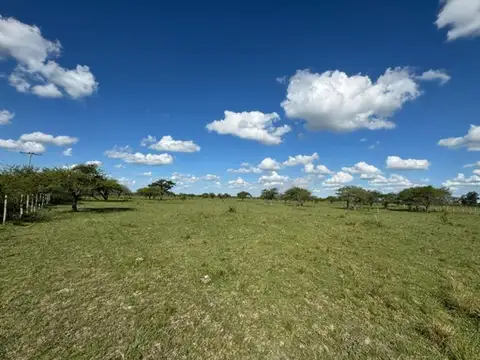 Campo 36.5 hectareas en  Curuzu Cuatia Corrientes