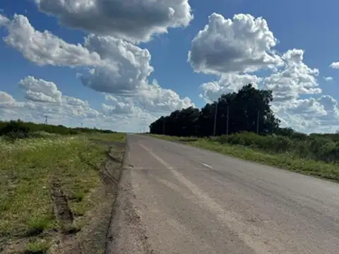 Ruta 126