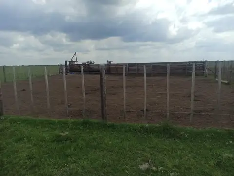 Exelente campo  con aptitud mixta.