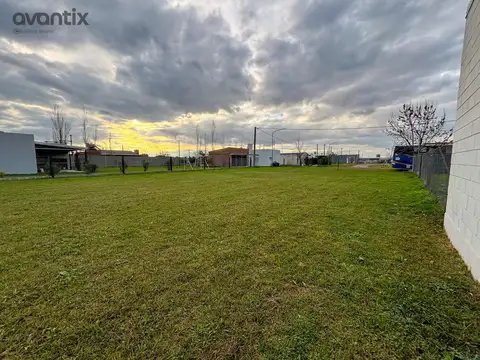 Rivadavia S/N de Susana