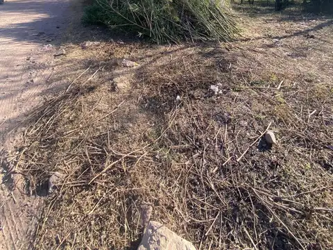 VENTA LOTE EN UNQUILLO 800m2 SE RECIBE AUTO