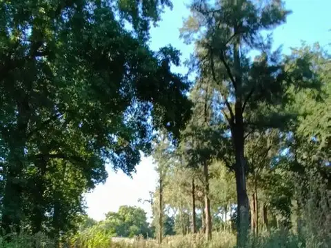 Terreno en Venta en Robles Del Monarca, USD 59.000