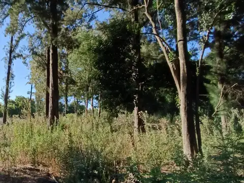 Terreno en Robles del Monarca Pilar