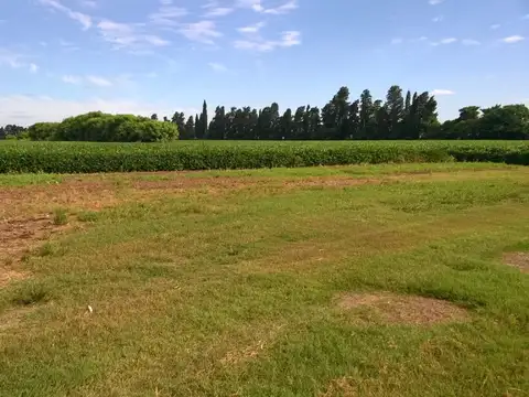 Campo en Venta Agricola