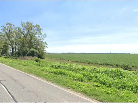 Campo 170 has, Agricola Suelo 1, Fighiera, Sobre Ruta. a 30 km de Rosario. Zona Núcleo. Santa Fe.