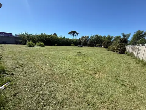 Terreno en Alquiler de 3250,0 m2