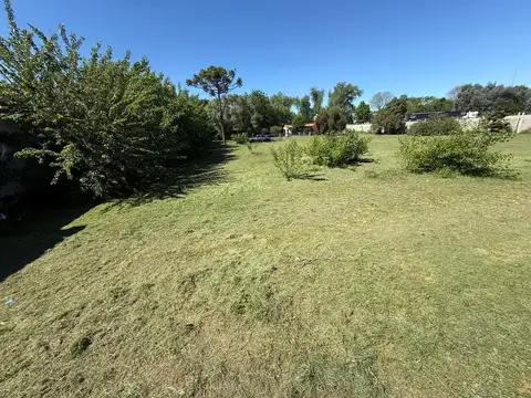 IMPORTANTE TERENO O PREDIO EN ZONA CAAMAÑO 100