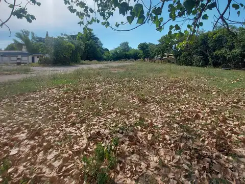 Local en Venta 21 años