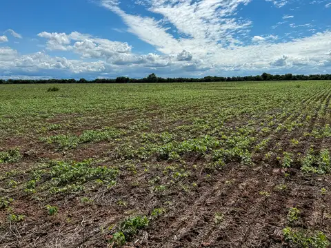 FINCA VENTA EMBARCACION PADRE LOZANO 2410 HA