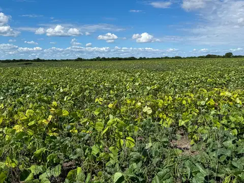 FINCA VENTA EMBARCACION PADRE LOZANO 2410 HA