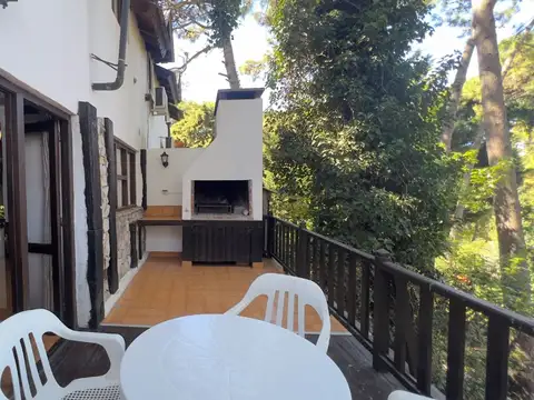 Arbol del Cielo 1600