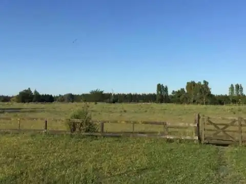 Estancia Campos Verdes: 226.000 Hectáreas en Catamarca. Acti