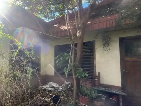 Cordero 173