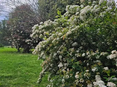 Terreno en Venta en Mapuche Country Club, USD 115.000