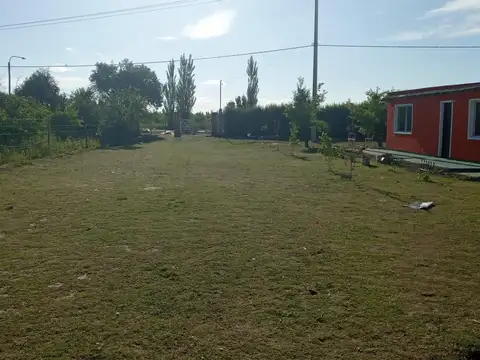 Los Dos Alamos 3350