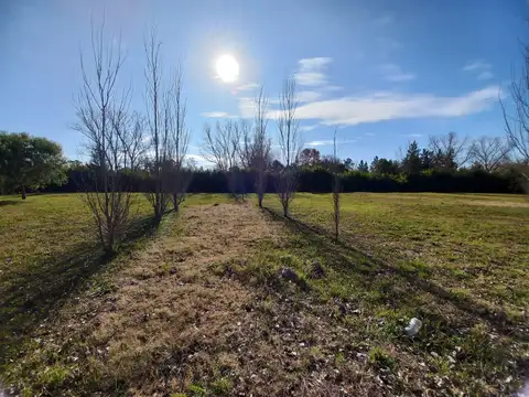 Terreno en Venta 14  mts Frente