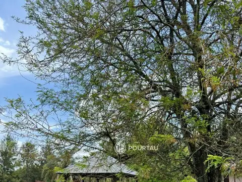 Quinta en Venta en Coronel Brandsen, USD 350.000