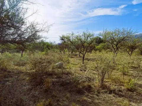 Terrenos en venta en Cortaderas - 1000 mts con luz y agua