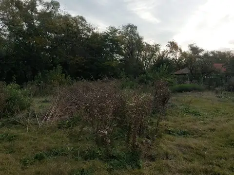 Terreno en Venta 44  mts Fondo